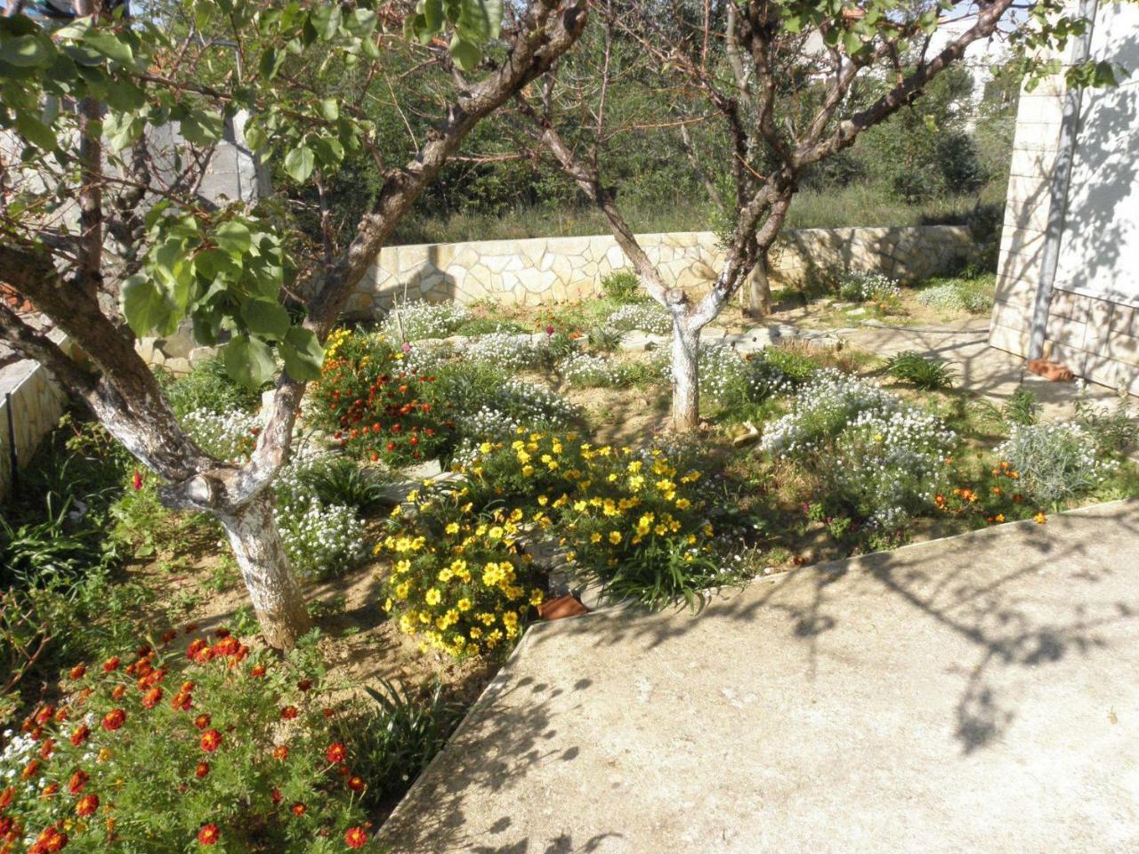Apartments Brane - 180M To The Sea Vrsi Bagian luar foto